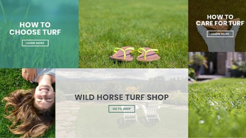 wildhorseturf-f